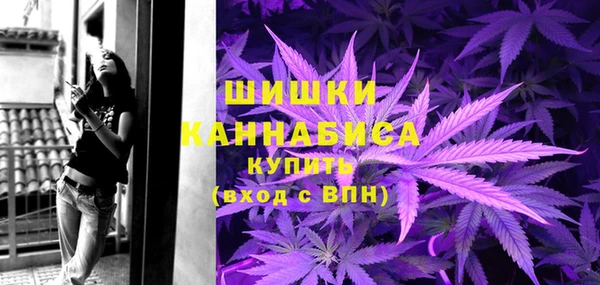 дживик Абинск