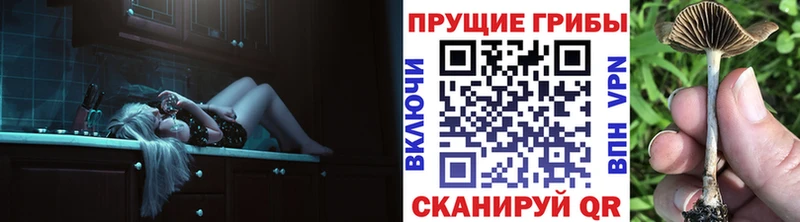 кракен маркетплейс Алексеевка Псилоцибиновые грибы мухоморы закладки